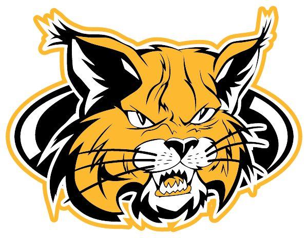 Buchholz logo