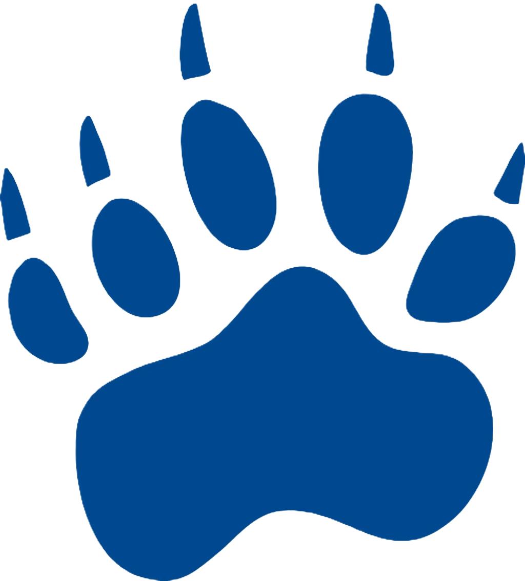 Stony Brook logo